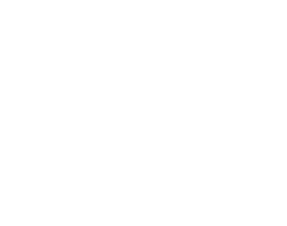 Decorative vector graphic element for Trust Point Electric website